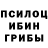 Псилоцибиновые грибы Psilocybine cubensis Lalitha Gandham