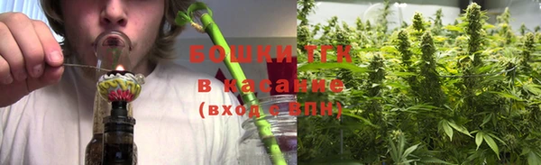 стафф Богородицк